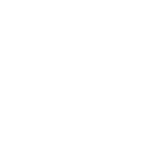 公安黑夜行動(dòng)